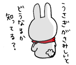 Deserted rabbit and cold cat. sticker #5417432