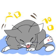 Daily tabby cat sticker #5419189