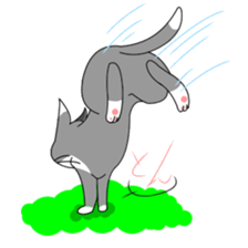 Daily tabby cat sticker #5419196