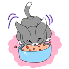 Daily tabby cat sticker #5419198