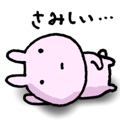 For your boyfriend or girlfriend