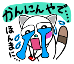 Fascinating cat in Osaka sticker #5423731