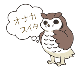 Sticker of owls sticker #5424264
