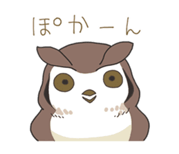 Sticker of owls sticker #5424268