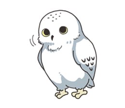 Sticker of owls sticker #5424274