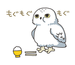 Sticker of owls sticker #5424277