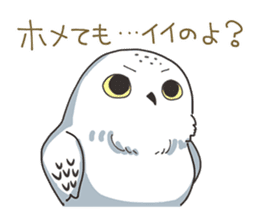Sticker of owls sticker #5424281