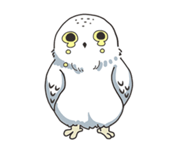 Sticker of owls sticker #5424283