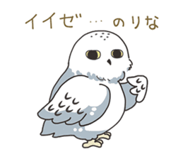 Sticker of owls sticker #5424284