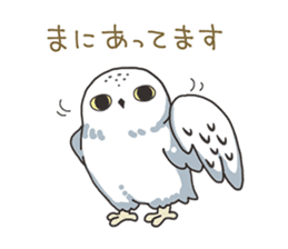 Sticker of owls sticker #5424286