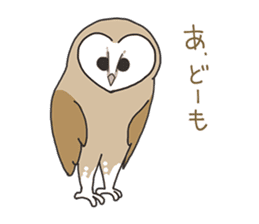Sticker of owls sticker #5424288