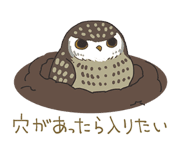 Sticker of owls sticker #5424292