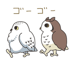 Sticker of owls sticker #5424294