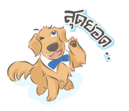 Dodimon & Friends: Golden Retrievers sticker #5424945