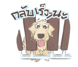Dodimon & Friends: Golden Retrievers sticker #5424957