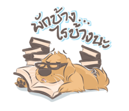 Dodimon & Friends: Golden Retrievers sticker #5424959