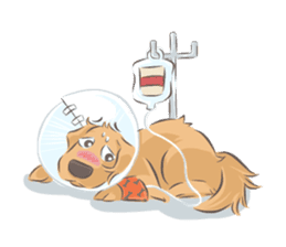 Dodimon & Friends: Golden Retrievers sticker #5424968
