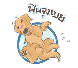 Dodimon & Friends: Golden Retrievers sticker #5424971