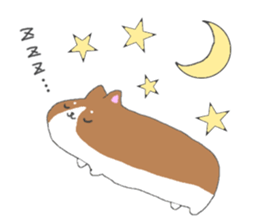 Corgi's cocoa. sticker #5427308