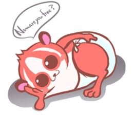 Everyday of slow loris sticker #5428252
