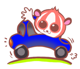 Everyday of slow loris sticker #5428257