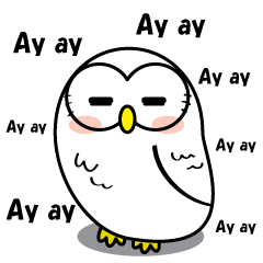 Don't say "Fight!" (Ver.English)