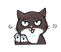 white socks the cat sticker #5432624