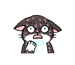 white socks the cat sticker #5432637