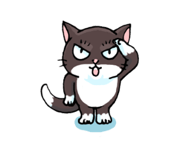 white socks the cat sticker #5432641