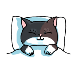 white socks the cat sticker #5432648