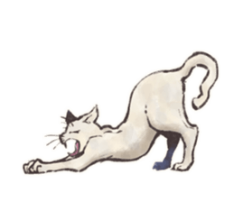 My most pretty cat sticker #5433140