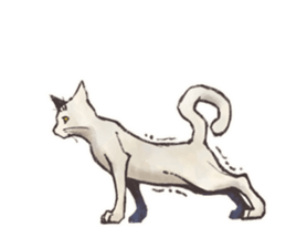 My most pretty cat sticker #5433141