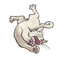 My most pretty cat sticker #5433142