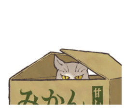 My most pretty cat sticker #5433143