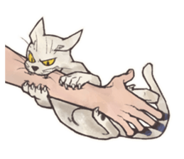 My most pretty cat sticker #5433146