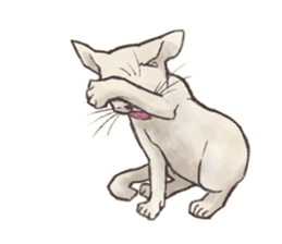 My most pretty cat sticker #5433147