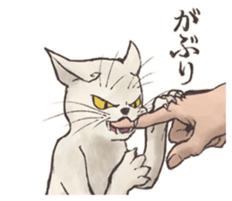 My most pretty cat sticker #5433150