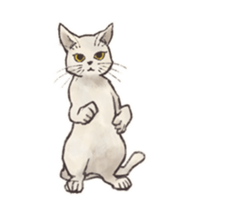 My most pretty cat sticker #5433155