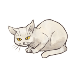 My most pretty cat sticker #5433160