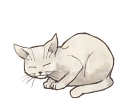 My most pretty cat sticker #5433161