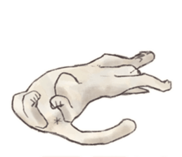 My most pretty cat sticker #5433162