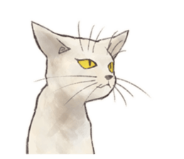 My most pretty cat sticker #5433164