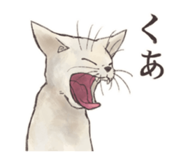 My most pretty cat sticker #5433165