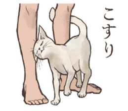 My most pretty cat sticker #5433167