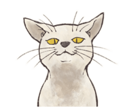 My most pretty cat sticker #5433169
