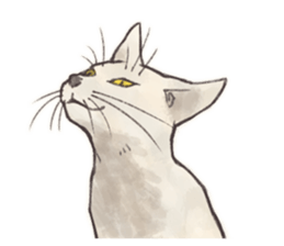 My most pretty cat sticker #5433170