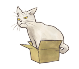 My most pretty cat sticker #5433171