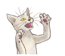 My most pretty cat sticker #5433172