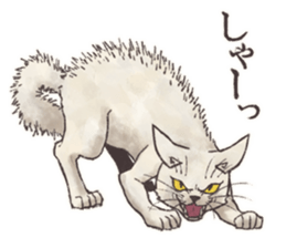 My most pretty cat sticker #5433175