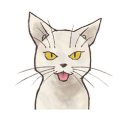 My most pretty cat sticker #5433176